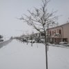 la grande nevicata del febbraio 2012 112
